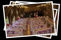 Orchid Wedding Hire 1070350 Image 1